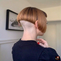 Bilder Vorschau