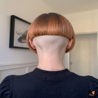 Bilder Vorschau