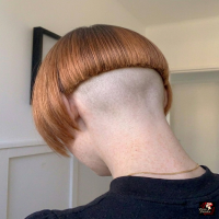 Bilder Vorschau