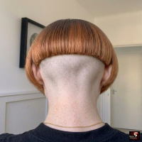 Bilder Vorschau