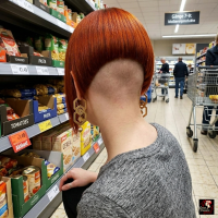 Bilder Vorschau